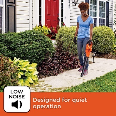 best leaf blower consumer reports