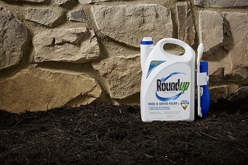 best weed killer consumer reports