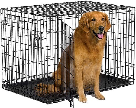 consumer reports best dog crates